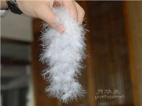 睿牛制衣厂精选白鸭绒.jpg 睿牛制衣厂精选白鸭绒.jpg
