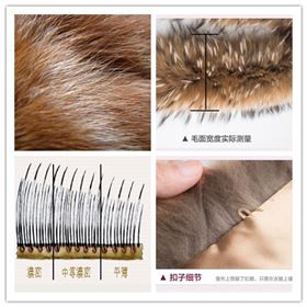 羽绒服选购皮草 羽绒服选购皮草