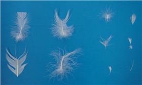 QQ图片20171028100242.png QQ图片20171028100242.png