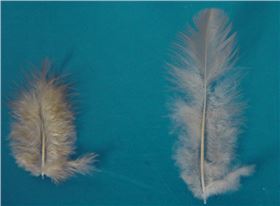 QQ图片20171028100305.png QQ图片20171028100305.png