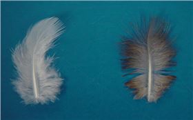 QQ图片20171028100317.png QQ图片20171028100317.png