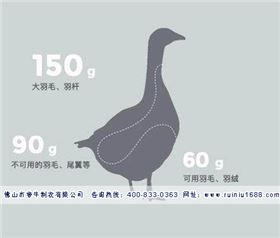 微信图片_20180604164221.jpg 微信图片_20180604164221.jpg