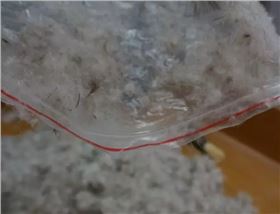 微信图片_20180817160909.png 微信图片_20180817160909.png