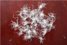 微信图片_20180817160939.png 微信图片_20180817160939.png