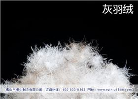 羽绒服加工(灰绒) 羽绒服加工(灰绒)