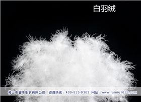 羽绒服加工(白绒) 羽绒服加工(白绒)