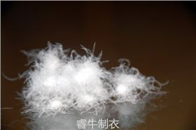 羽绒照片.jpg 羽绒照片.jpg