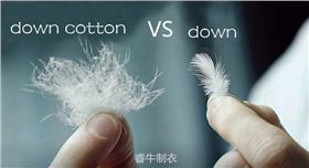 羽绒棉和羽绒 羽绒棉和羽绒