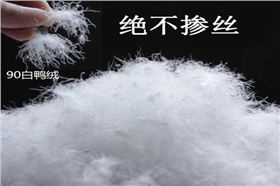 豆蓉_副本.jpg 豆蓉_副本.jpg