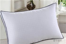 羽绒枕头 羽绒枕头