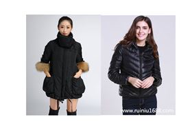短款羽绒服.jpg 短款羽绒服.jpg