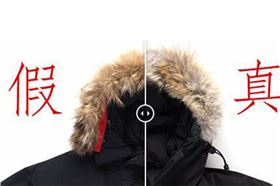 真假羽绒服.jpg 真假羽绒服.jpg