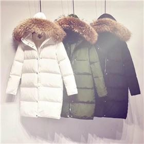 src=http___5b0988e595225.cdn.sohucs.com_images_20200217_4fd8b91e117245c6b45dbe541711f5ad.png&refer=http___5b0988e595225.cdn.sohucs.jpg src=http___5b0988e595225.cdn.sohucs.com_images_20200217_4fd8b91e117245c6b45dbe541711f5ad.png&refer=http___5b0988e595225.cdn.sohucs.jpg