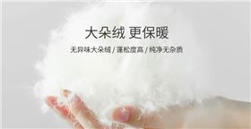 羽绒2.png 羽绒2.png