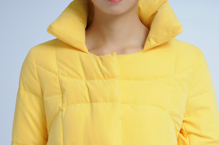 女装时尚羽绒服（时尚羽绒服8409）