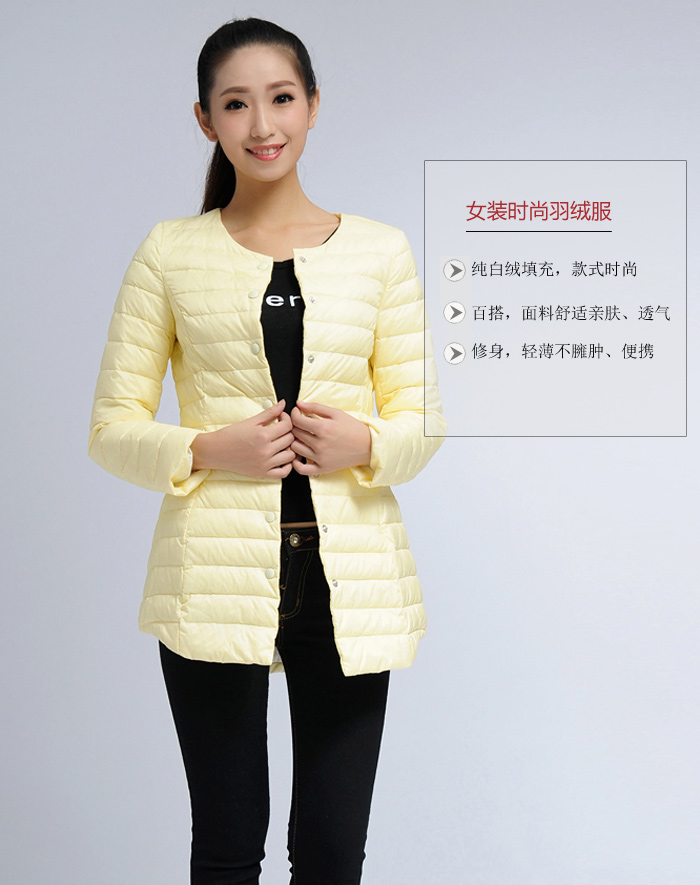女装时尚羽绒服（轻薄款8415）