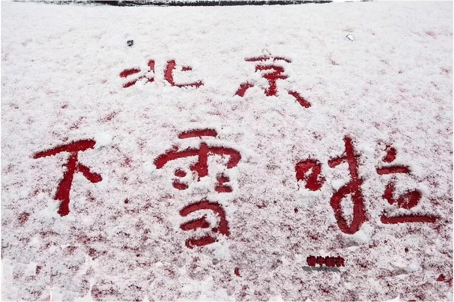 北京第一场雪景图
