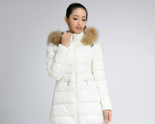 女装时尚羽绒服（垂直修身）